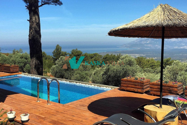 Villa Casa Liz Taylor