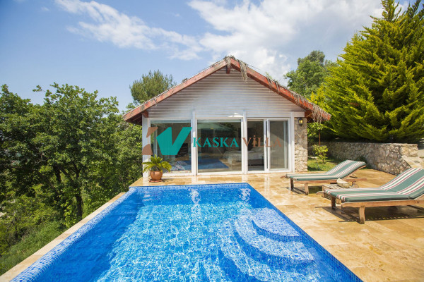 Villa Salkım