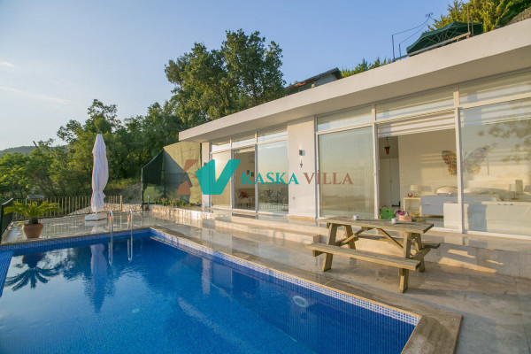 Villa Şakir