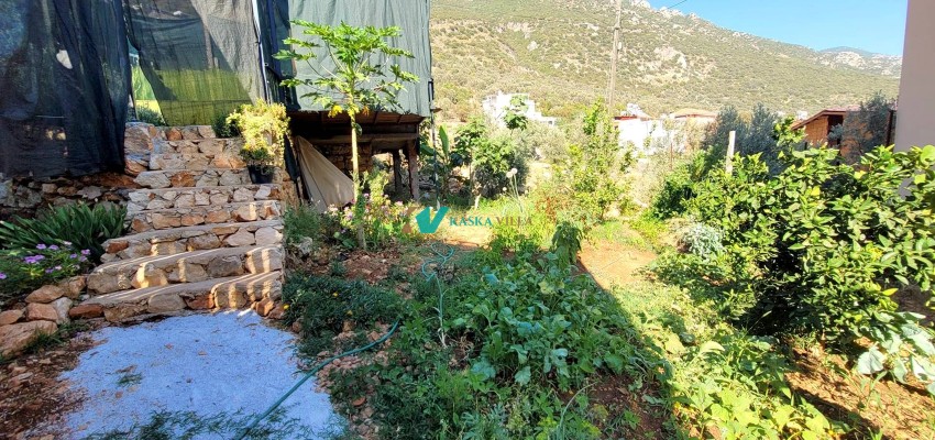 Villa Doğal