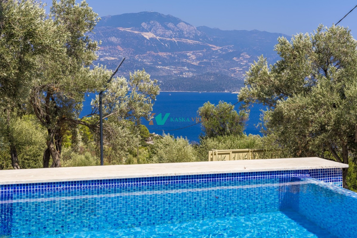 Villa Olive Muarkürü