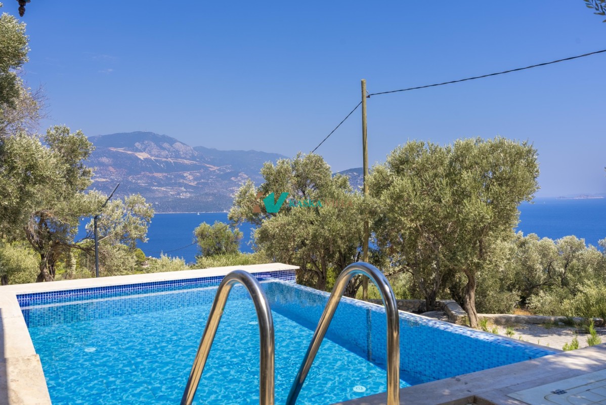 Villa Olive Muarkürü