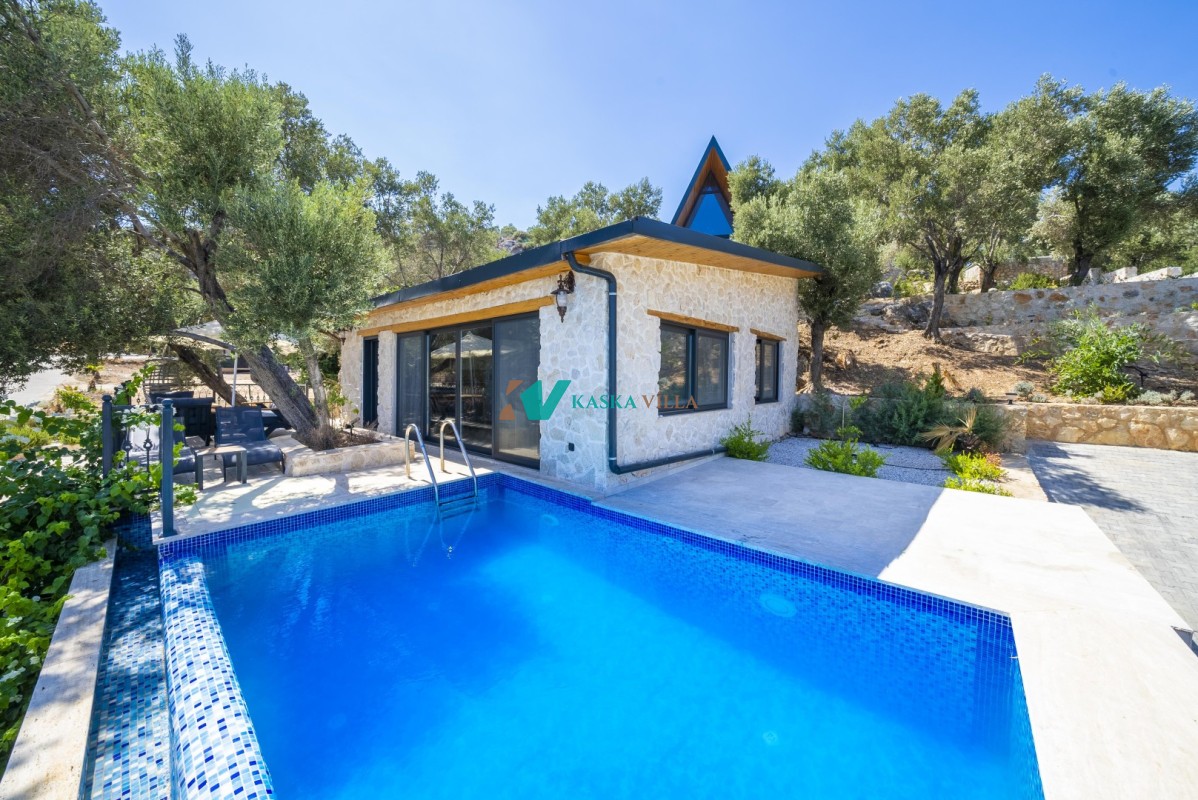 Villa Olive Muarkürü