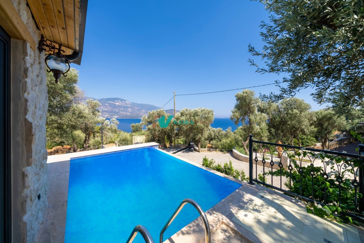 Villa Olive Muarkürü