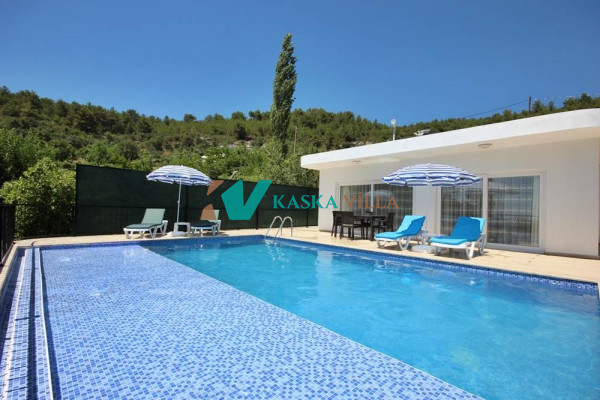 Villa Heves