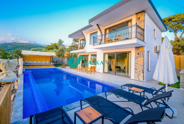 Villa Risus 1