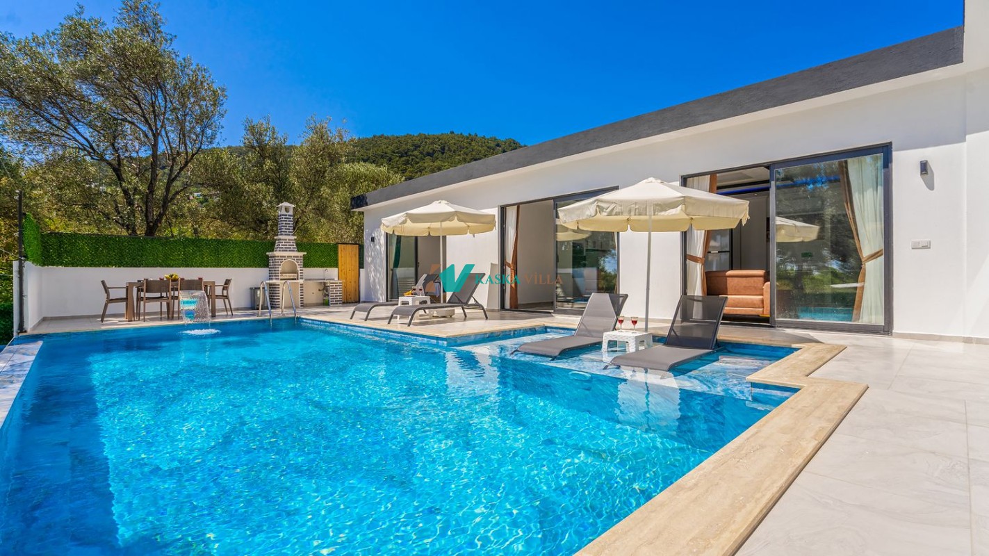 Villa Karaardıç